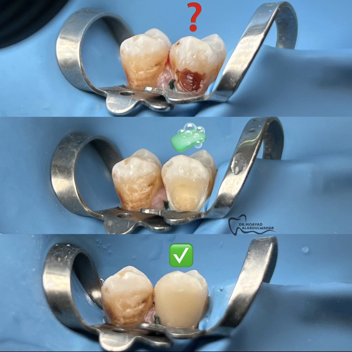 مؤيد tweet media
