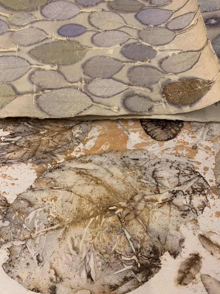 EDLC_Culture's tweet photo. Work is continuing today with the installation of our next exhibition at the #AuldKirkMuseum. Here's a wee sneak peek of Elizabeth Culshaw's 'Printing in Woodlands'. Opening Saturday 18th February and runs until the 30th March.

#ExhibitionInstall #Botanical #Printing https://t.co/zCtCp0xq0H