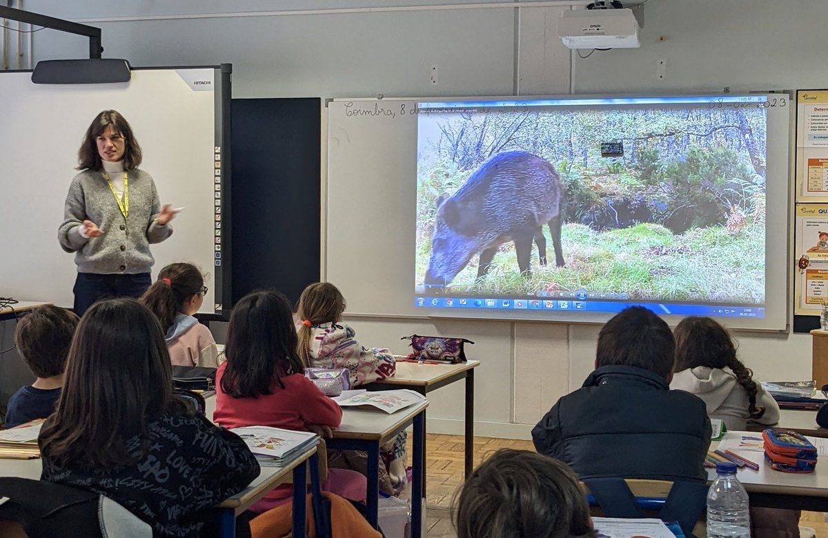 CIBIT_UC's tweet photo. 🧠The #ScienceClub continues at the #Coimbra school EB1 Montes Claros!
❓ (Neuro)science of daily decision-making❓
#CIBIT_UC researchers & 3rd-grade students explored the impact of our actions in the environment and what we can do about it as #scientists & #citizens. https://t.co/y5tJeM0KTJ