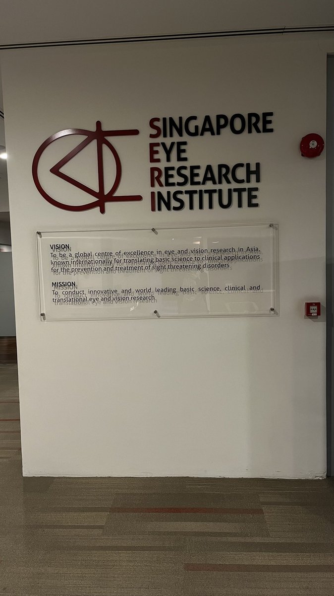 variint's tweet image. Day 53: Had my first day at @snec_seri today!! Did some work on semi-supervised domain adaption! #100DaysOfCode