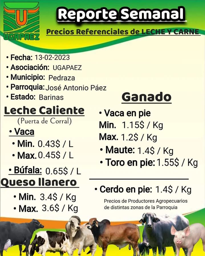 REPORTE SEMANAL. PRECIOS REFERENCIALES DE LECHE Y CARNE.

Estado Barinas. Municipio Pedraza. Parroquia José Antonio Páez

Fecha: lunes #13Feb

Fuente: Unión de Ganaderos y Agricultores de la Parroquia Páez (UGAPAEZ) #Barinas

#Venezuela #Ganadería #UGAPAEZ #CampoCafeCiudad