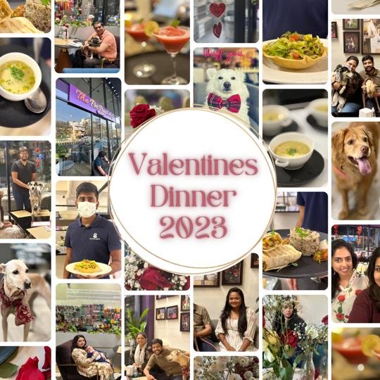 PawsnCollars's tweet photo. Cupid was stuck at our The Pet People Cafe this Valentine's Day due to Bangalore Traffic 😊. Our guests indulged in a 5 course culinary experience through vibrant Mexican flavors made by our talented chefs. #mexicanfood  #CafeVibes #HappyCustomers #Bangalore #pets #dogsarefamily https://t.co/XtKkL5xHUN