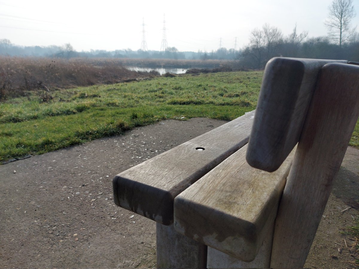 jon on Twitter "Walk walked, just 3 miles today but I walked which