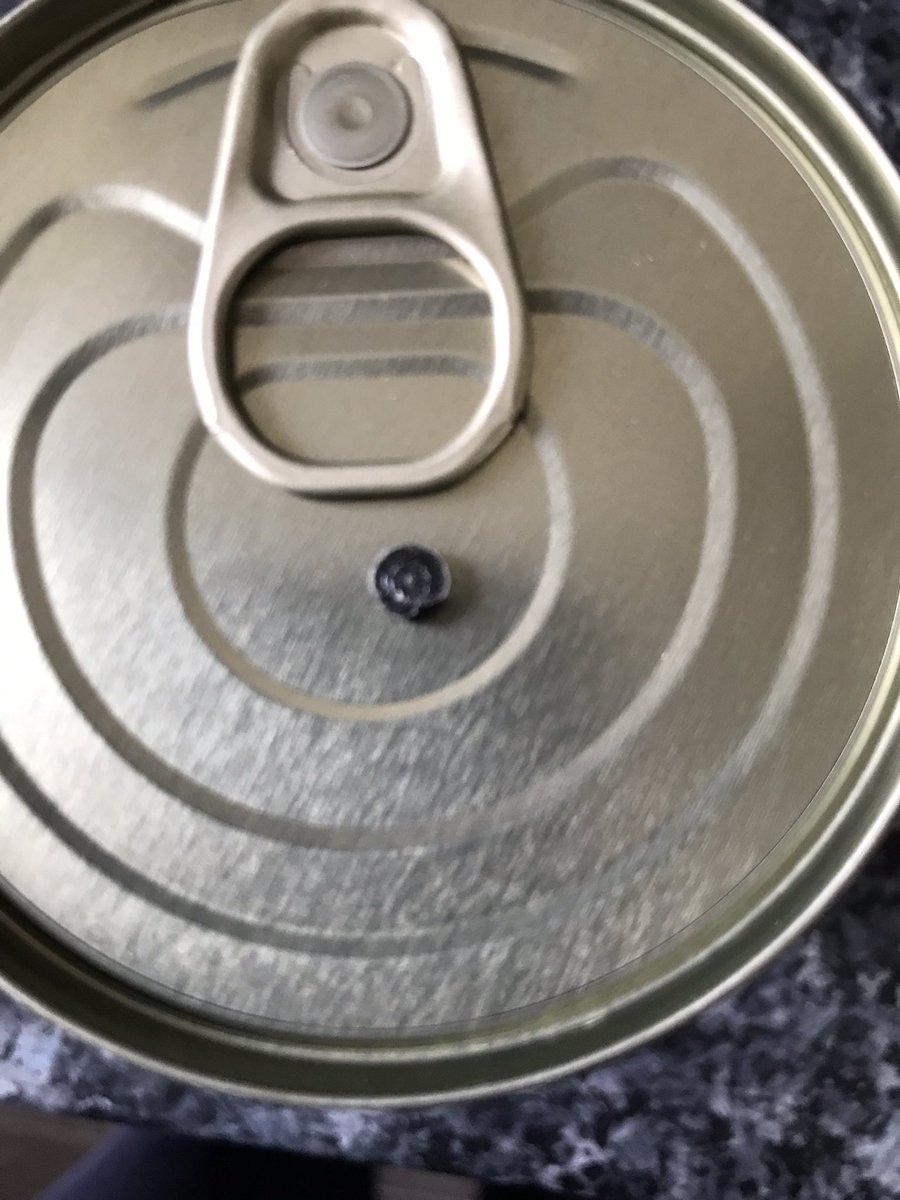 HayleyDobson tweet media