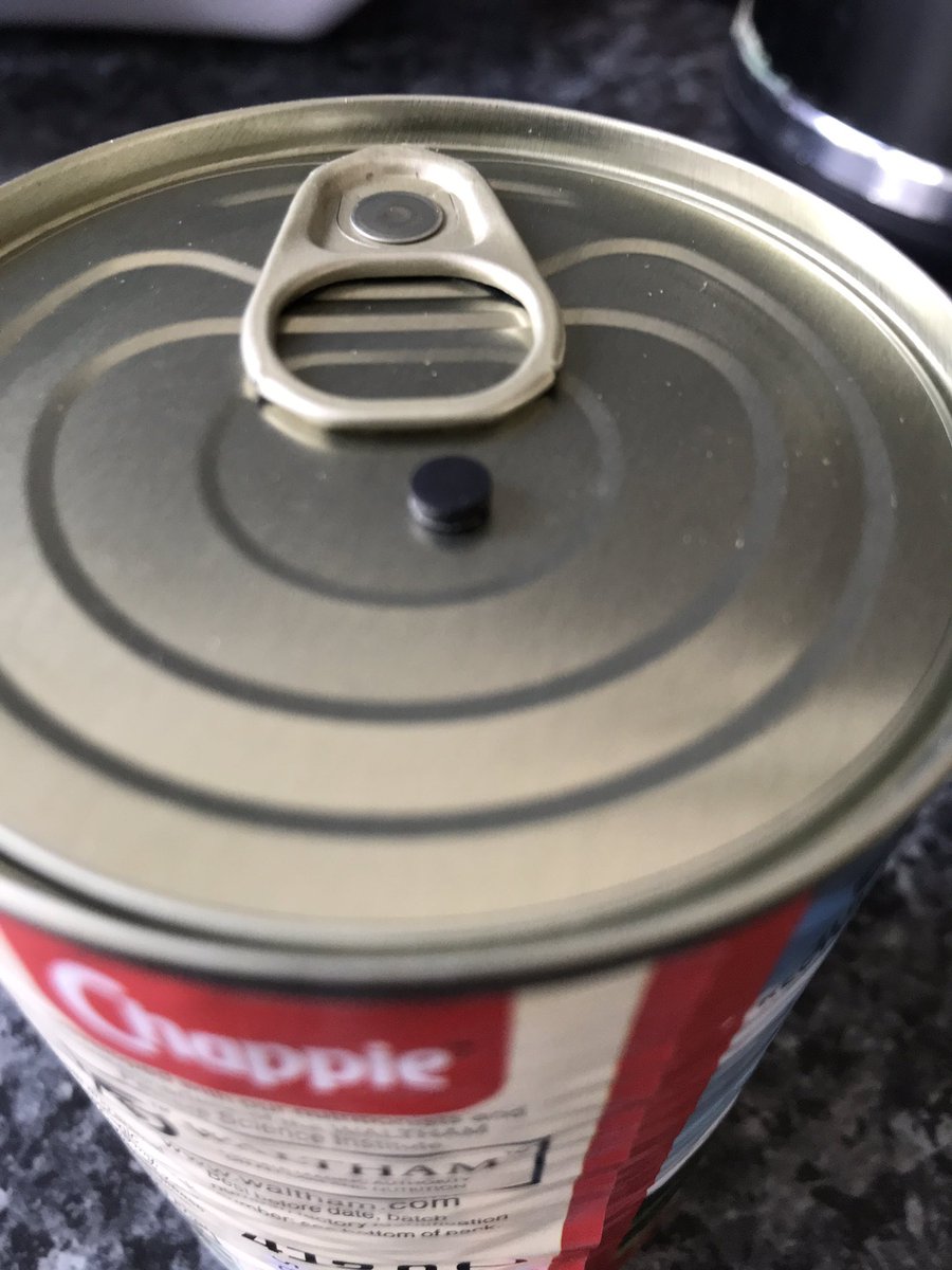 HayleyDobson tweet media