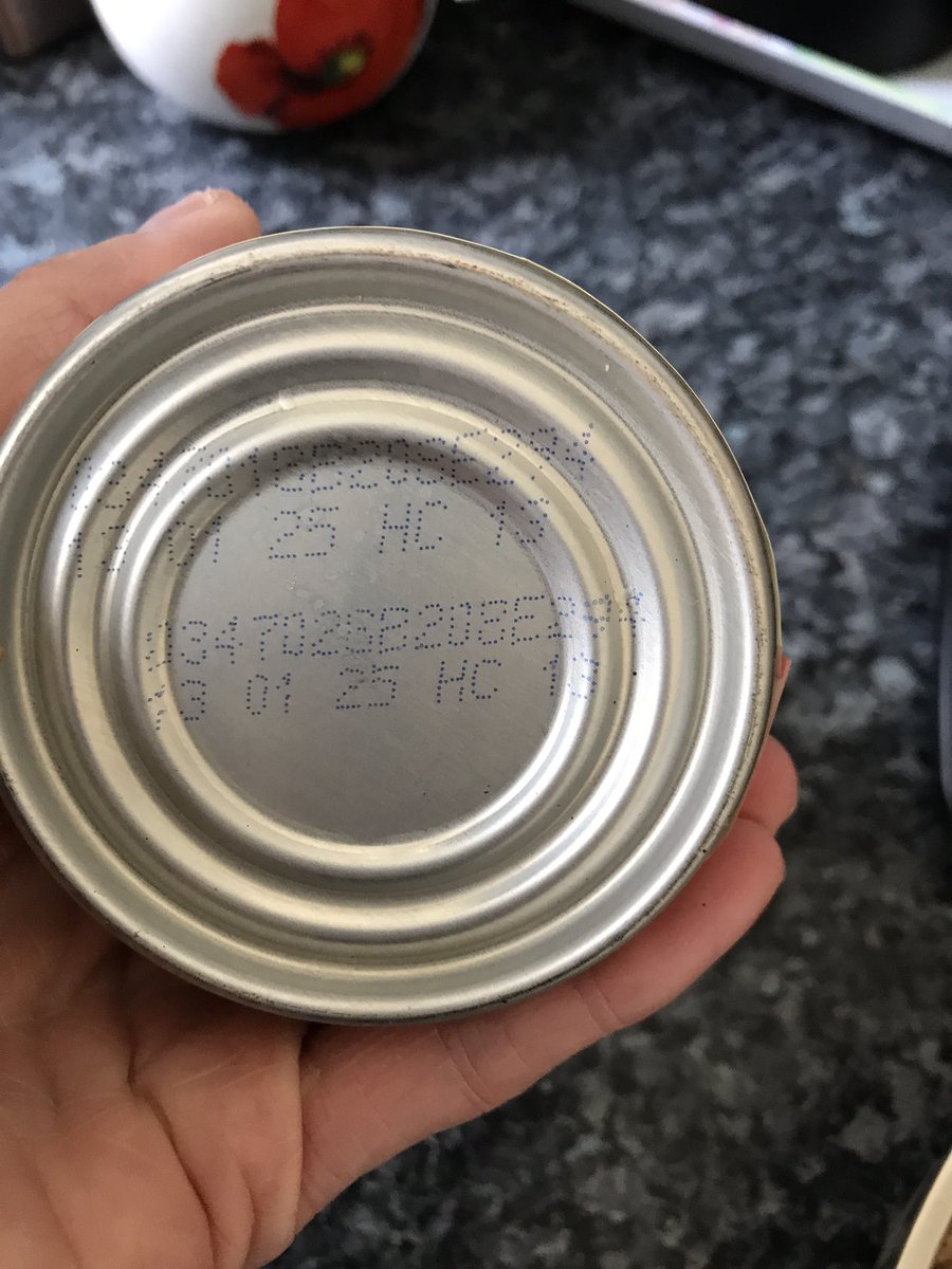 HayleyDobson tweet media