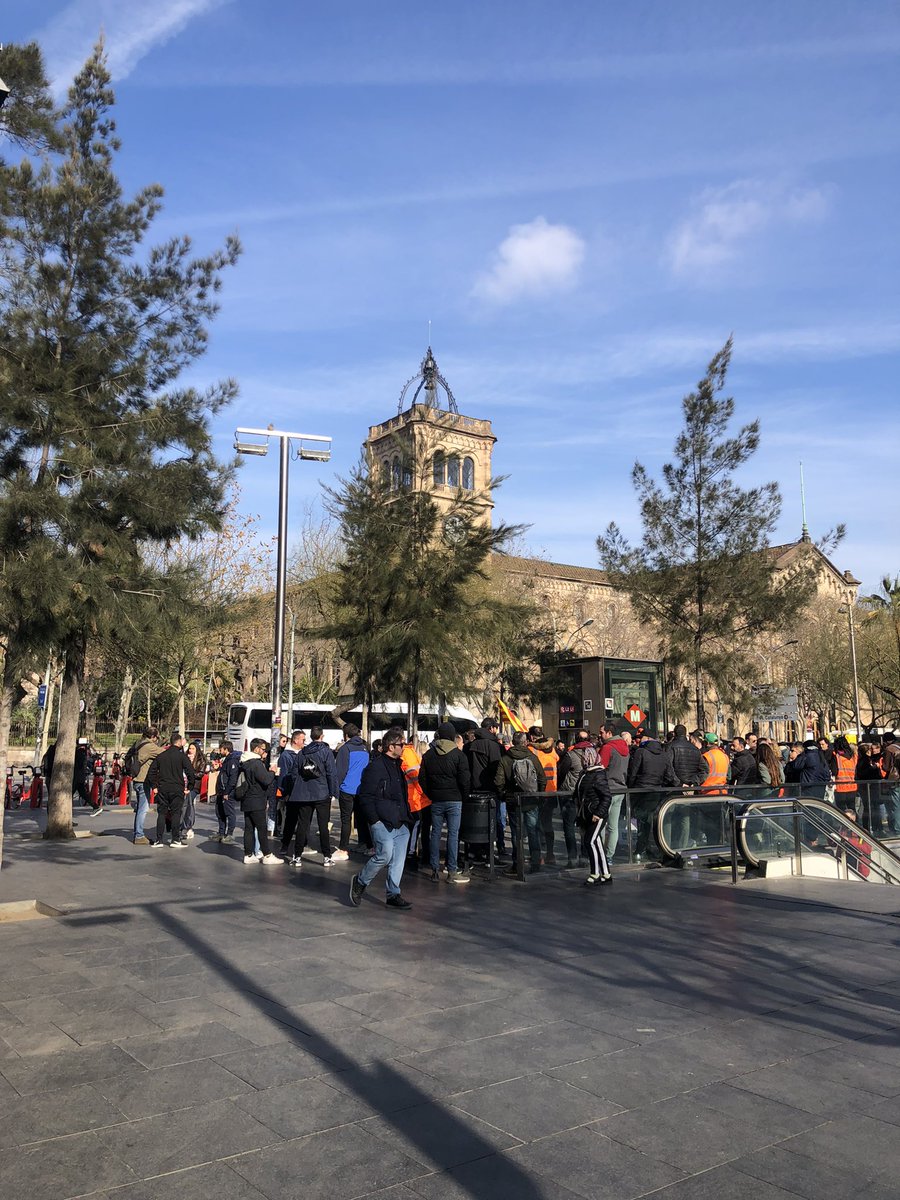 Gal·la Vila tweet media