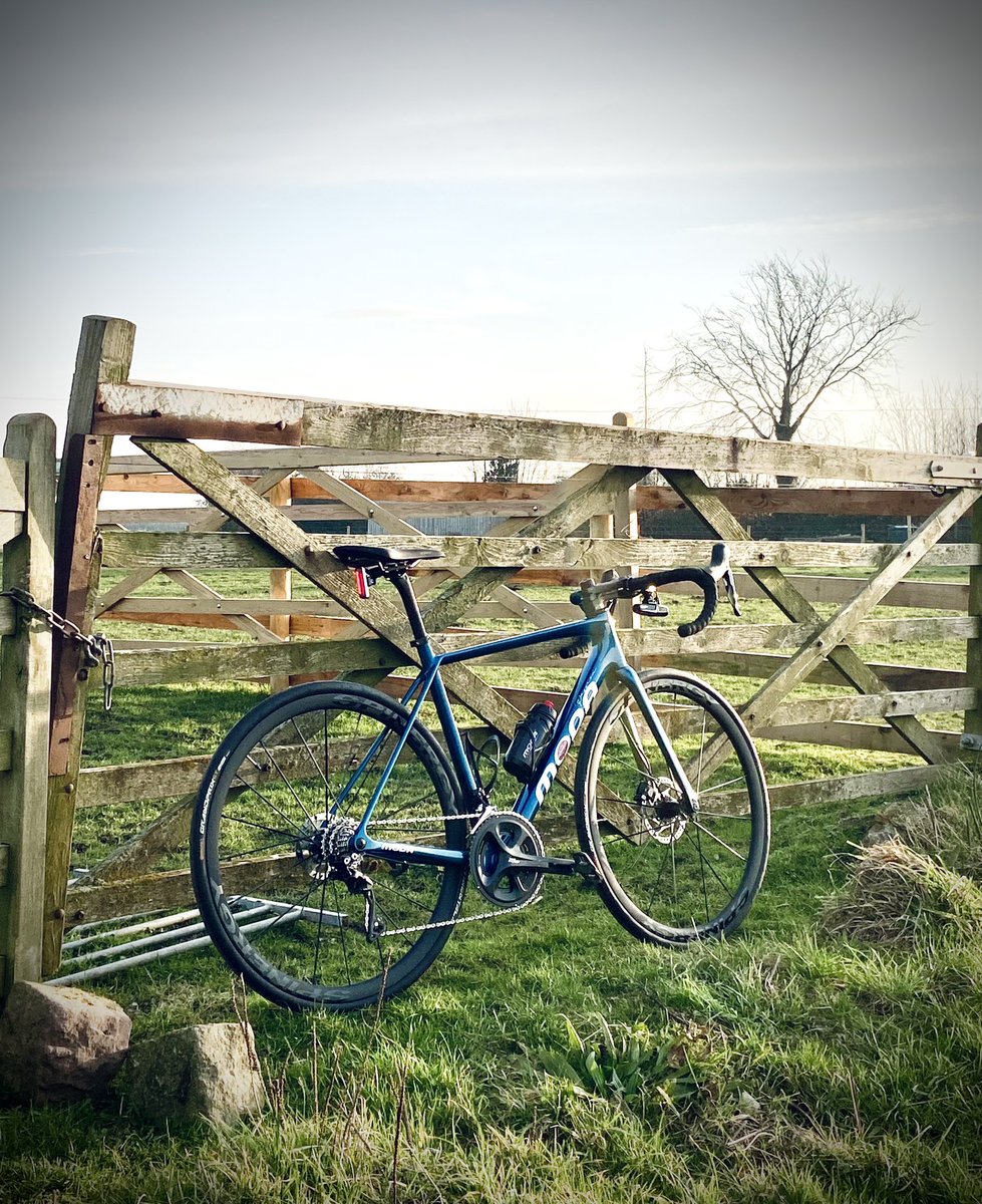 Ryan Pike tweet media