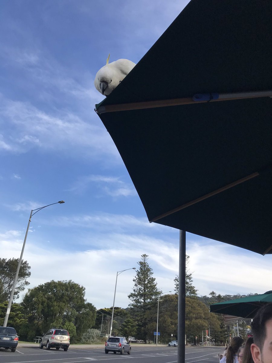 The end of the first fantastic day of #LorneIandI. Even the locals wanted in on discussions!