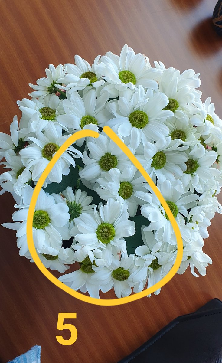 nrsnapsl's tweet photo. @ciceksepeti SKANDALI ! Firmanın teyit amaçlı fotoğrafını gönderdiği ürünle tarafıma ulaşan ürünün aynı olmadığı kabul ettiler. 3 gündür telafi edeceğiz diyip oyalıyorlar. Bugün de aynı ürün olduğunu söylüyolar. Artık iyice suyunu çıkarmışlar. Bu siteden alışveriş YAPILMAZ!!!!! https://t.co/ApRdwmAfjj