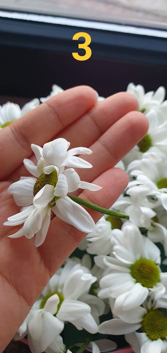 nrsnapsl's tweet photo. @ciceksepeti SKANDALI ! Firmanın teyit amaçlı fotoğrafını gönderdiği ürünle tarafıma ulaşan ürünün aynı olmadığı kabul ettiler. 3 gündür telafi edeceğiz diyip oyalıyorlar. Bugün de aynı ürün olduğunu söylüyolar. Artık iyice suyunu çıkarmışlar. Bu siteden alışveriş YAPILMAZ!!!!! https://t.co/ApRdwmAfjj