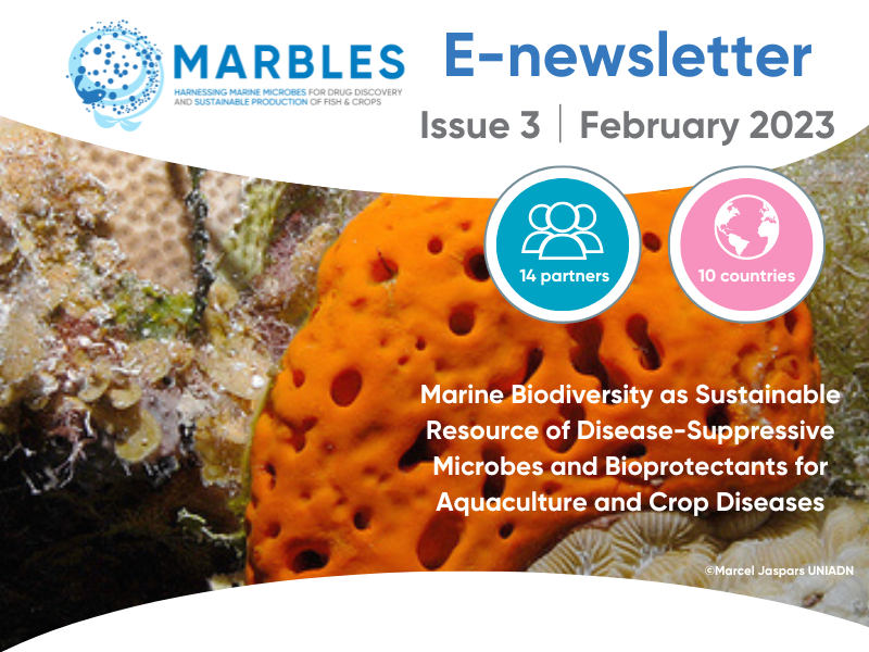 MARBLES_EU's tweet photo. 🌟The third issue of the MARBLES E-Newsletter is out now!🌟

All the latest news &amp; events from our consortium 👉we also meet @MARBLES_EU researcher @LoneKGram in Denmark 🇩🇰 &amp; hear what microbes 🦠have been in the media!
https://t.co/rxqwSimTcF https://t.co/eD8uejagDe