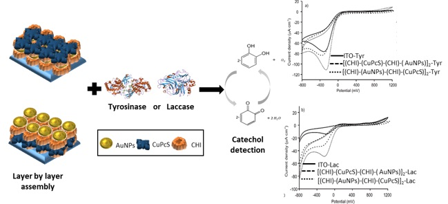 Sensors_MDPI's tweet image. #highlycitedpaper
Biosensors Platform Based on Chitosan/AuNPs/Phthalocyanine Composite Films for the Electrochemical Detection of Catechol. The Role of the Surface Structure
mdpi.com/1424-8220/20/7…
@UVa_es 
#catechol #goldnanoparticles #sulfonatedphthalocyanine