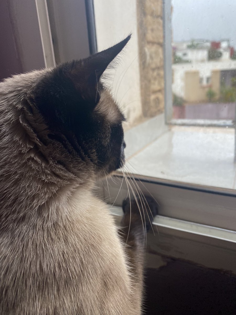 kaillvr's tweet photo. SHE SAID ITS RAINING LEMME SEE https://t.co/hstG6706Zd