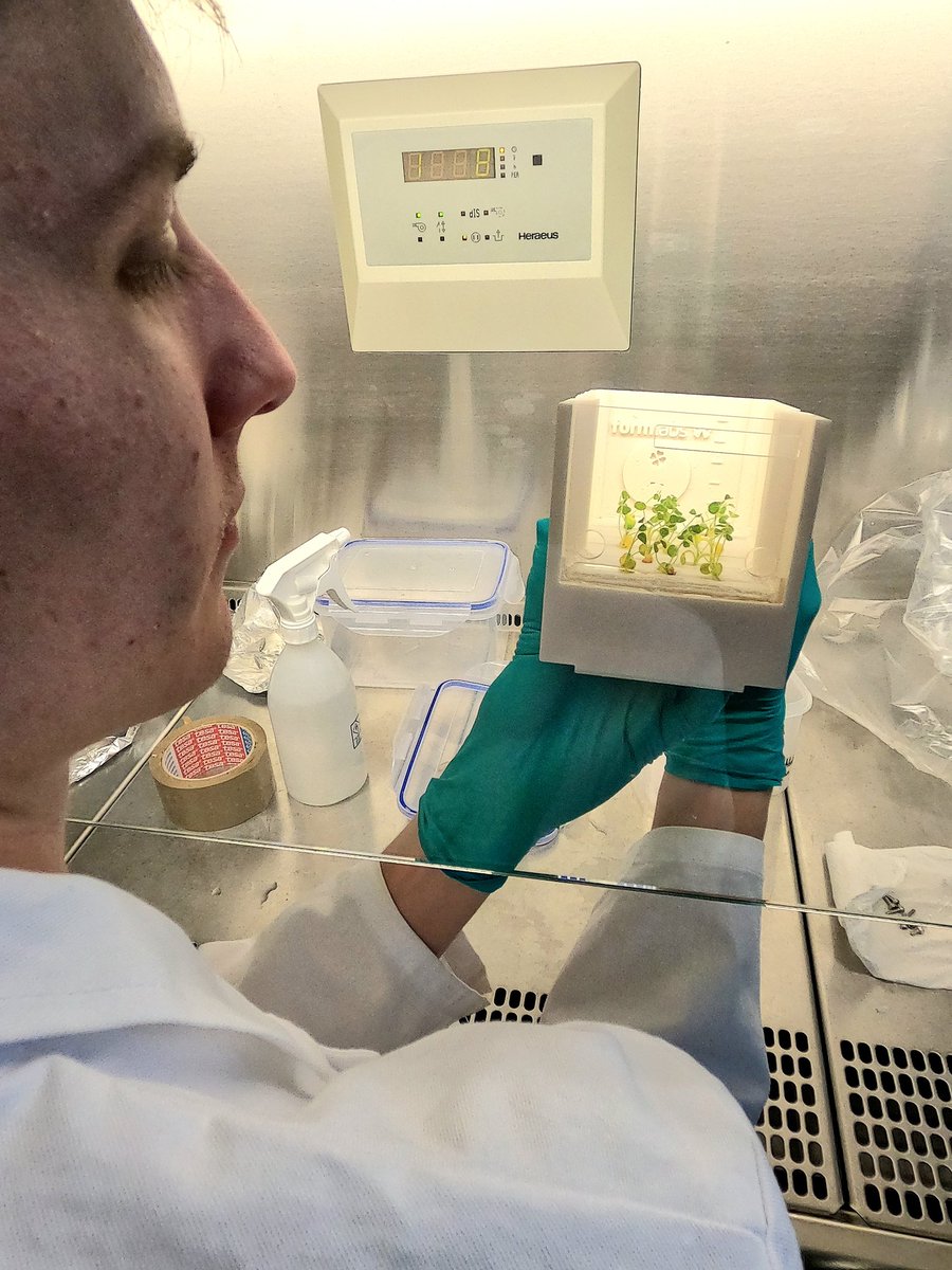 Gluecksklee2ISS's tweet image. What a view. This is our biochamber with nodulated plants. Ready for the next #wholesystem test. #progress #plantsci #überflieger2 #Space