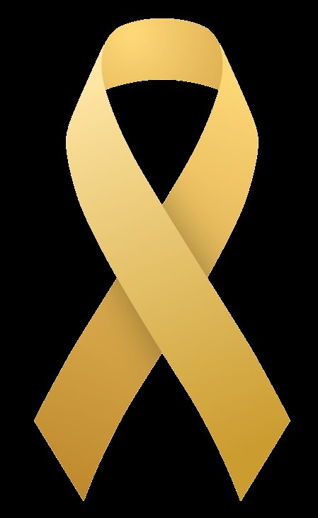 En el 💔 #DiaInternacionalDelCancerInfantil 
Un recordatorio, la #investigación es #vida y sin dinero, no hay investigación.
#presupuestos
#CancerInfantil