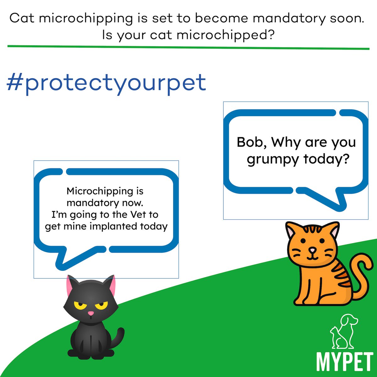 Did you know cat microchipping will become mandatory soon? Check if your cat is microchipped and ensure your details are up to date!

#catmicrochipping #microchipping #microchips #petmicrochips #petdatabase #MyPet #petsafety #smallbutmightythemicrochip