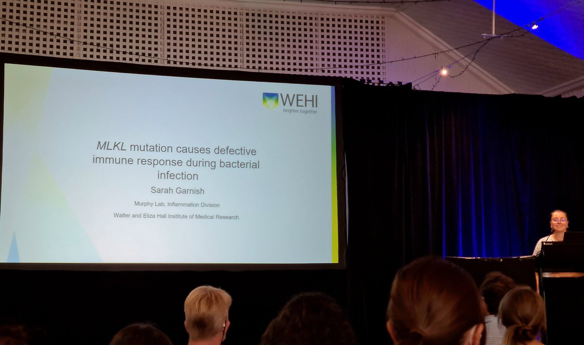Sarah Garnish (@sarahgarnish) on Twitter photo Fantastic first day at #LorneIandI! I was very pleased to present my work on a gain of function MLKL mutation 💀 Fantastic first day at #LorneIandI! I was very pleased to present my work on a gain of function MLKL mutation 💀