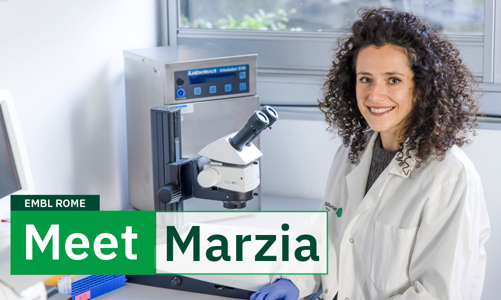 Meet Marzia Munafò, 🇮🇹 postdoc in the Hackett group. 
Marzia studies how epigenetic information from the mother contributes to embryonic development.

She also has a passion for drawing, and creates colourful and unconventional science-inspired illustrations.