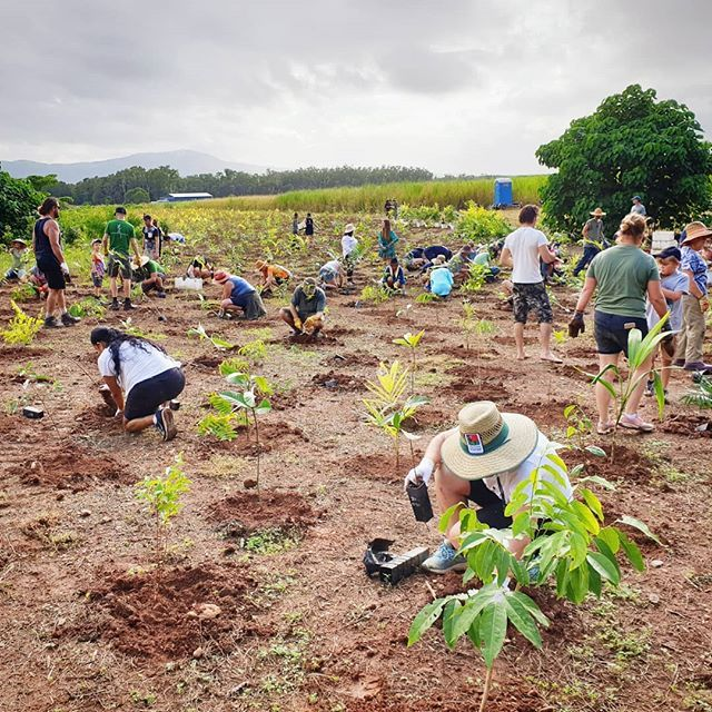 OjangoStellaLAW's tweet image. Community members can be involved in the design and implementation of interventions, and in planning and prioritization of public funding, with strong community involvement of youth, women and men throughout the #projectcycle.

This makes the projects #sustainable