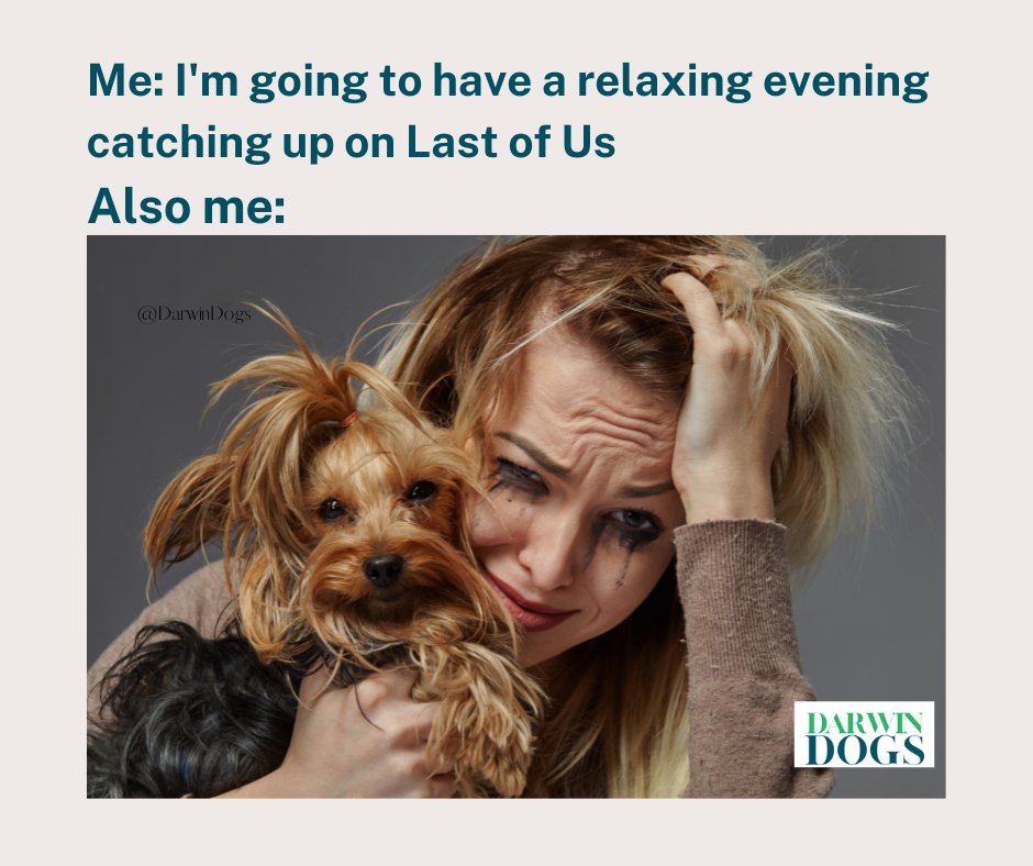 DarwinDogs's tweet photo. Anyone have a spare therapy dog I can borrow? And maybe a therapist, too?
#TheLastOfUs #BillAndFrank #GreatestLoveStory #HenryAndSam #UglyCrying #Why #naughtydog https://t.co/yyIUEq3oxY