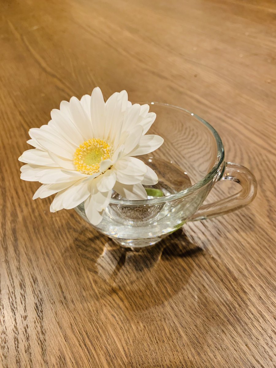 茎の折れてしまったガーベラを短くしてガラスカップに生けてみたらとても可愛い…☺️ https://t.co/Oq4iW54Y3Q