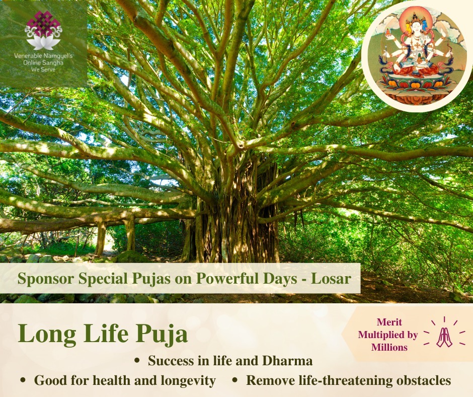 【Long Life Puja for your health and longevity】
@ Powerful Days - Losar &amp; Chotrul Duchen - Tibetan New Year
21st February - 7th March 2023

🌟Sponsor Special Pujas and Ritual Practices in Nepal’s monastery and nunnery
🌟Performed by over 400 monks and n… ift.tt/t9uiKJL