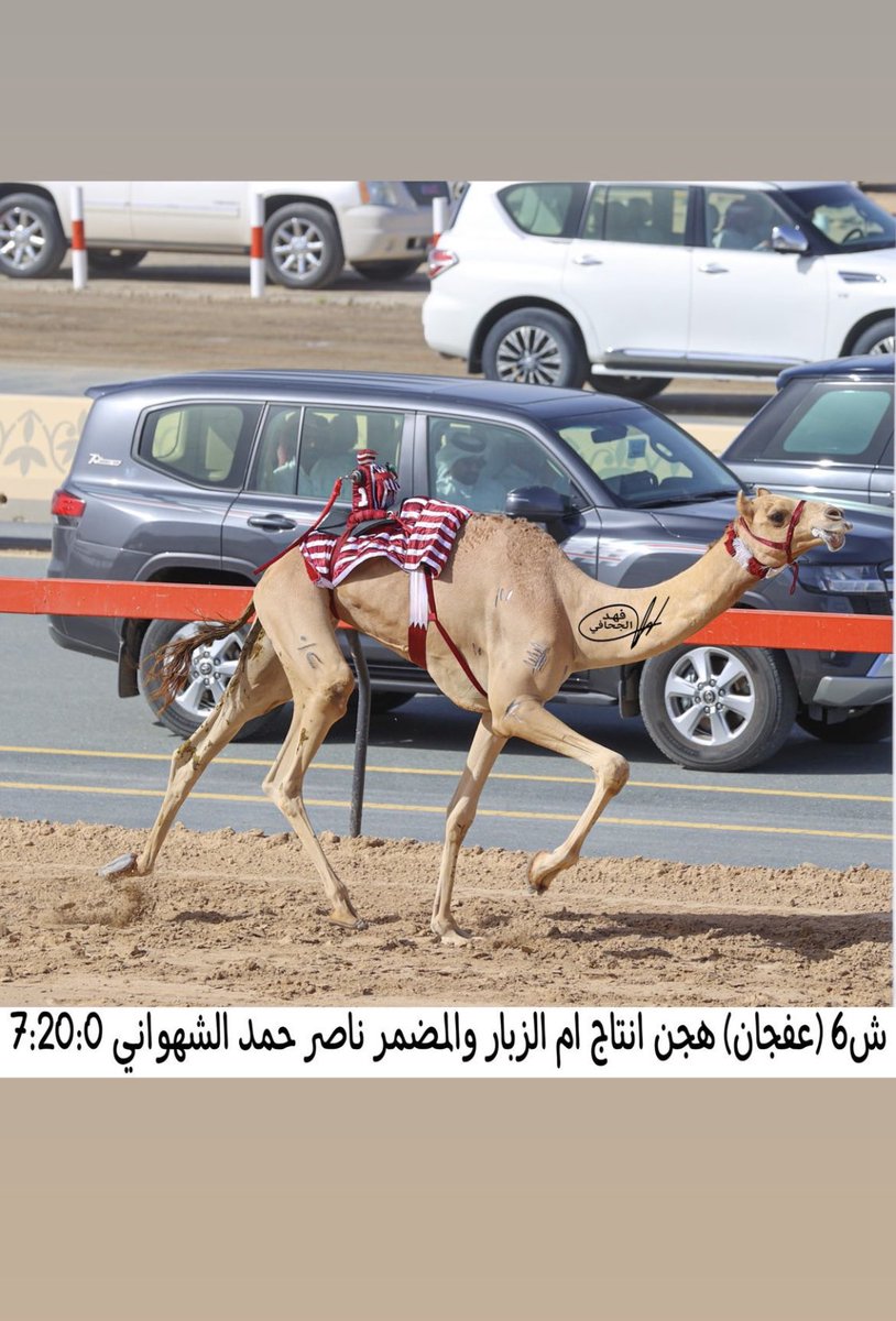 🐪ش6 عفجان لـ هجن إنتاج أم الزبار (ناصر حمد مسفر الشهواني) ختامي المرموم 15-2-2023م لقايا قعدان 7:20:0
labregah.com/v/161222

الاب الفايز ام الزبار