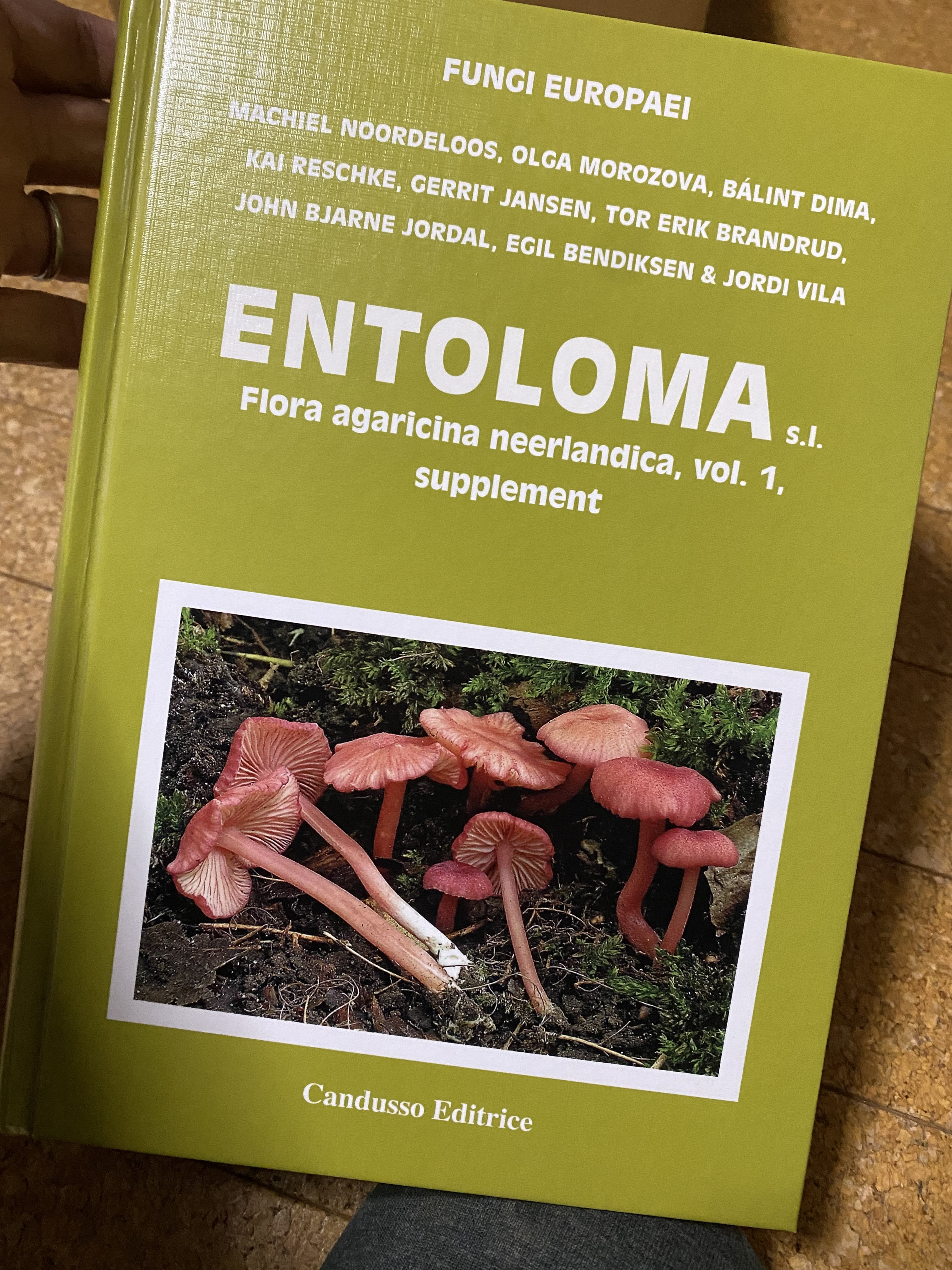 保障できる】 「 世界きのこ大図鑑 BOOK 新規購入 THE FUNGI OF