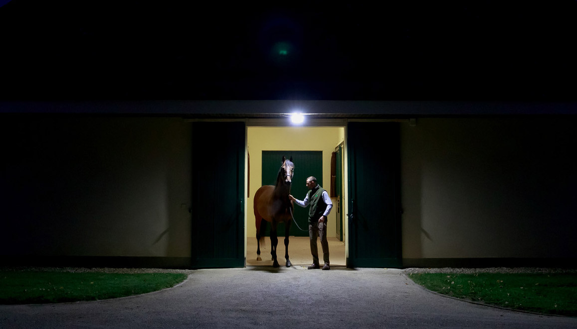 AgaKhanStuds's tweet photo. Today marks the official start of the 2023 covering season, and our stallions at Haras de Bonneval 🇫🇷 and Gilltown Stud 🇮🇪 are looking forward to meeting plenty of mares in the months ahead!

#SeaTheStars #Siyouni #Dariyan #Zarak https://t.co/eFWXRkmFqB