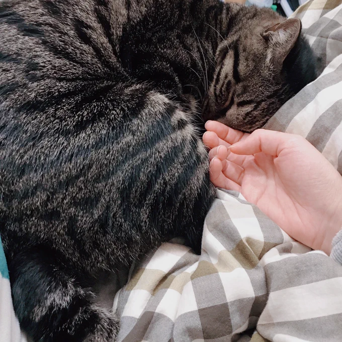 いつもいっしょにいてくれてありがと 
