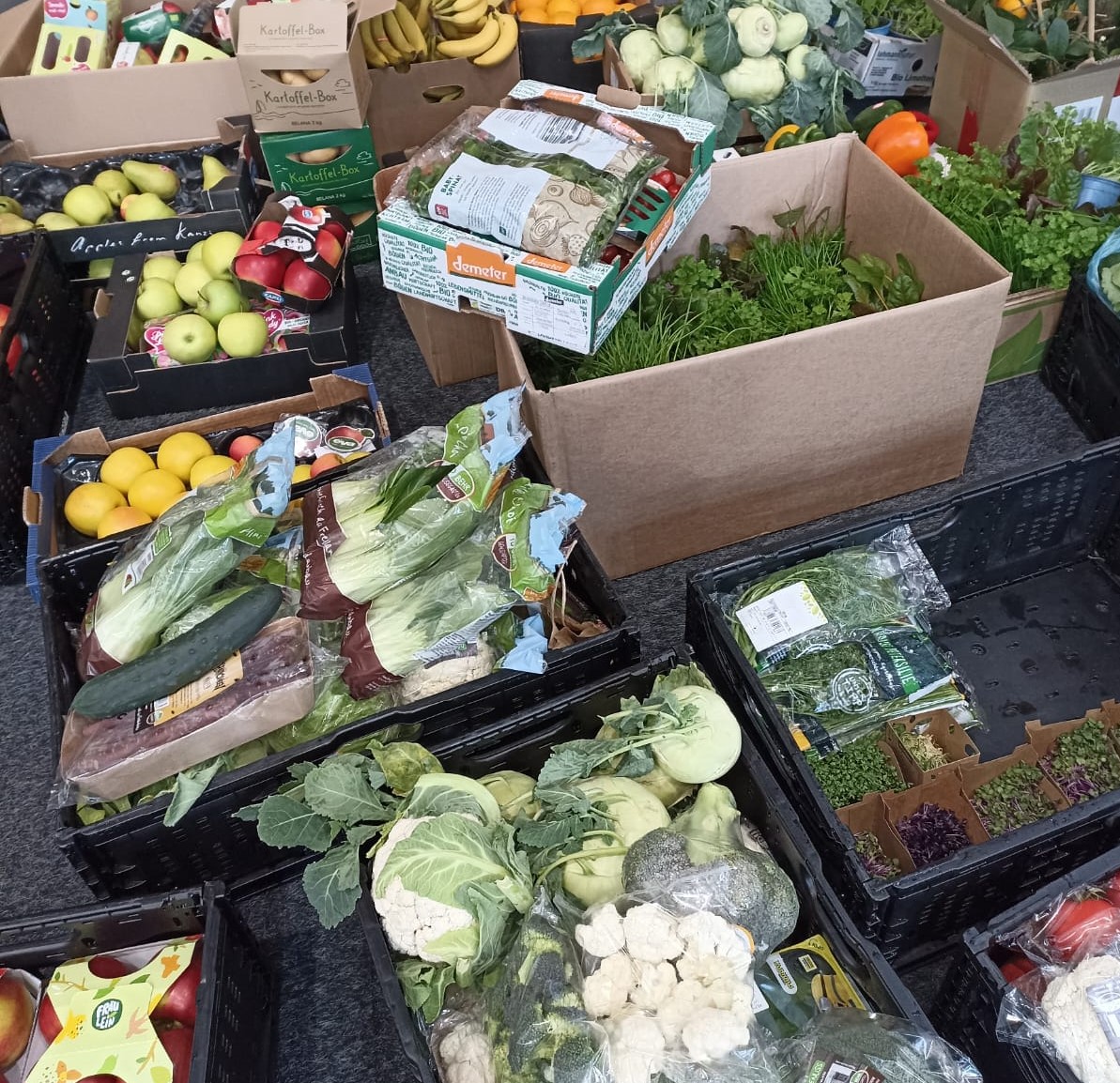 Verti_DE's tweet photo. Im Rahmen des #Volunteering-Programms unserer Konzernstiftung, der @fmapfre, hieß es für die @BerlinerTafel #Lebensmittelretten!🙌🤩
Insgesamt konnten 65 Tonnen Obst &amp; Gemüse vor der Mülltonne bewahrt werden, um armutsbetroffenen Menschen zu helfen.🧡 #TeamVerti #FundacionMAPFRE https://t.co/wjntfBvdd9