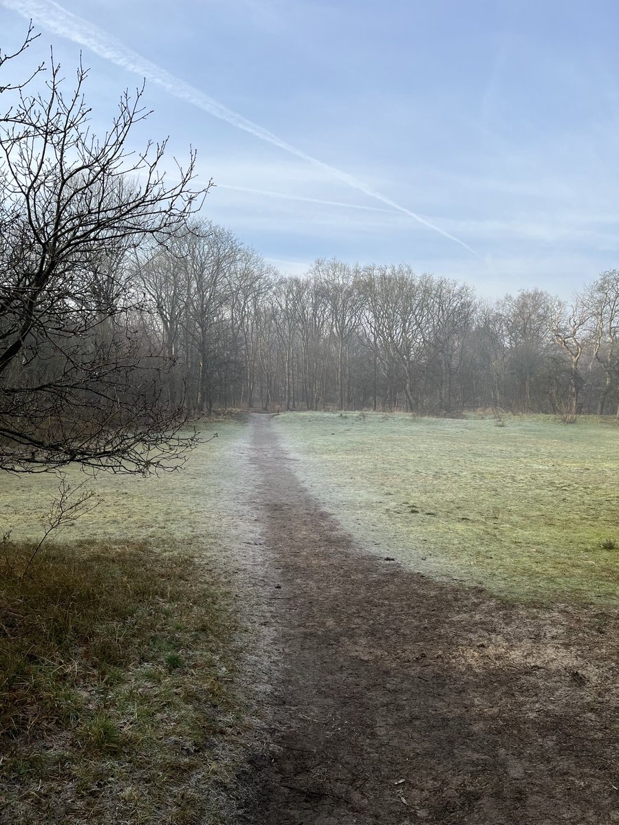 anjahendriks's tweet photo. Mooie ochtend weer #panbos https://t.co/UViFIOPA1b