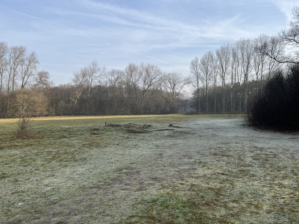 anjahendriks's tweet photo. Mooie ochtend weer #panbos https://t.co/UViFIOPA1b