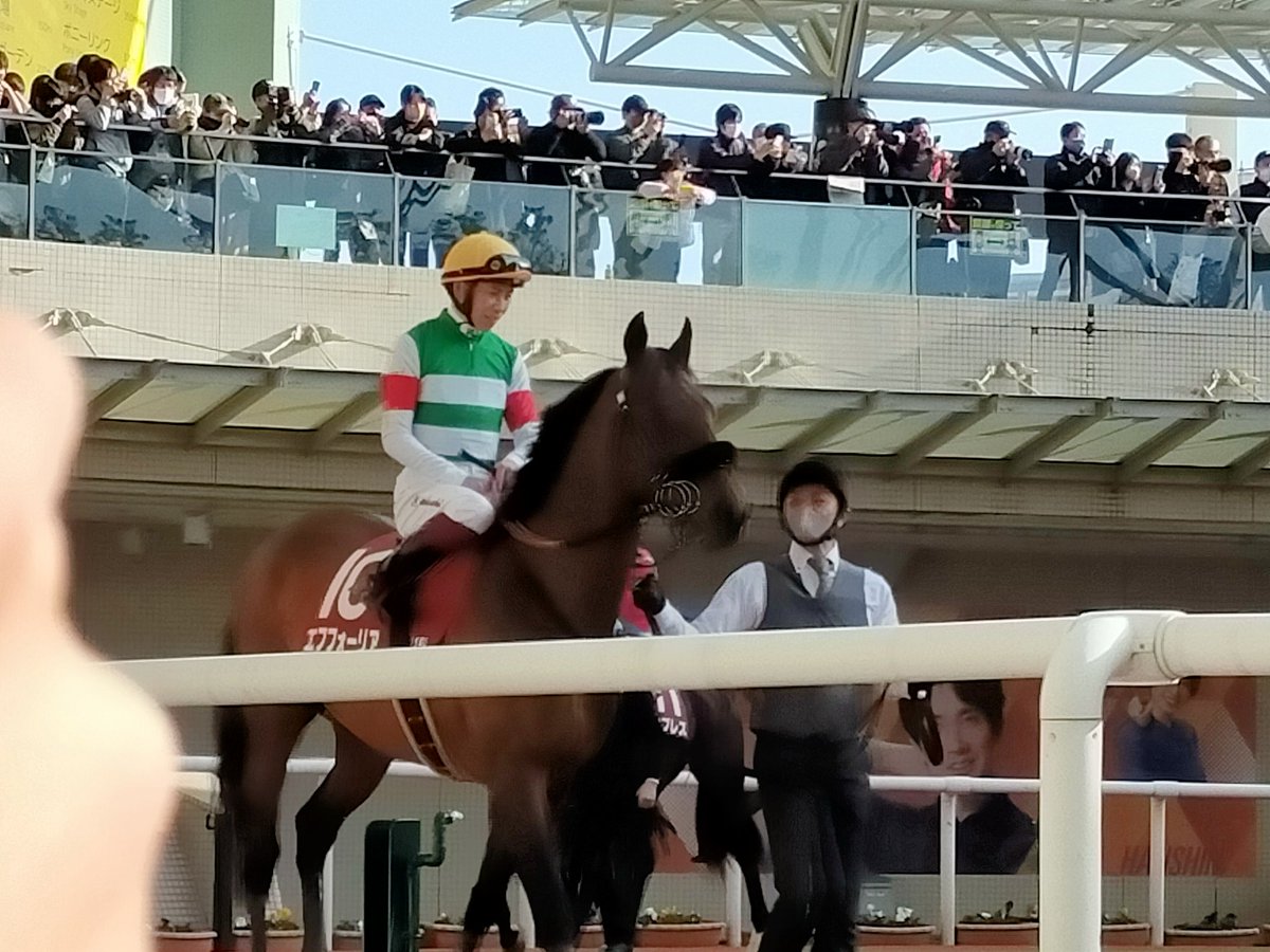 rokopondesu's tweet image. 日曜日の京都記念、最初で最後にエフくんに会えて良かったです😭😭
エフくんお疲れ様でした
次の種牡馬の仕事頑張ってね😊
#エフフォーリア引退 
#京都記念2023