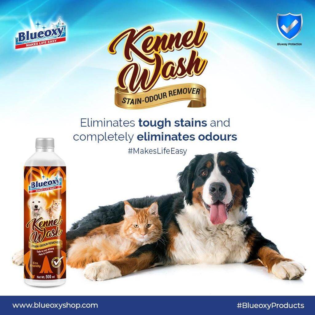 Keep your furry friend's home clean and odor-free with Blueoxy Kennel Wash, an effective and eco-friendly cleaning solution you can trust. #petcleaning #cleanpets #petcare #cleanhome  #cleaningproducts #stainremoval #petcareproducts #furryfriends #BlueoxyProducts #MakeLifeEasy
