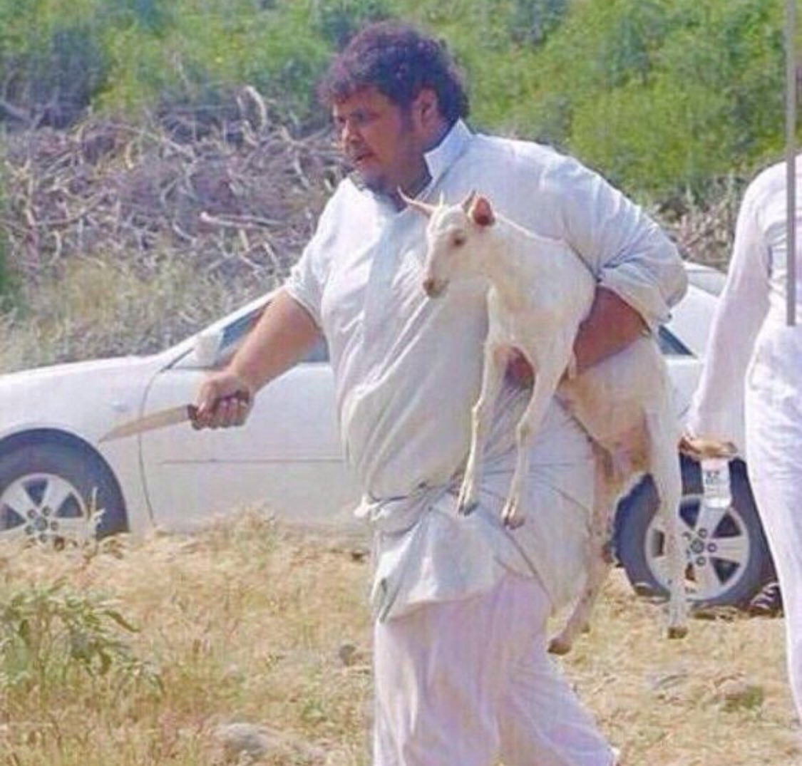 هـــانـــي الشهري tweet media