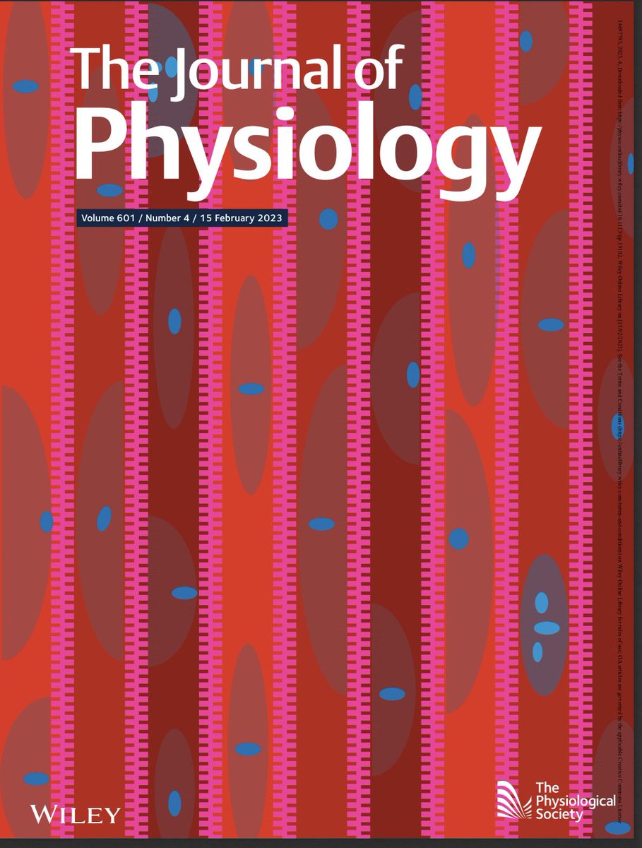 Kevin Murach tweet media