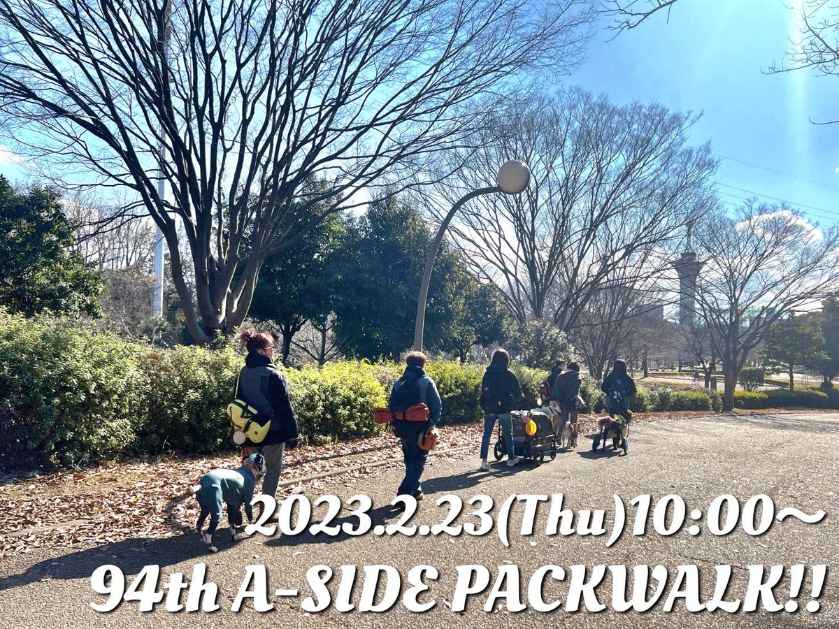 a_side_dog_info's tweet image. 第94回ボインパックウォーク！参加者募集します！
(DBS AZUMIセッション受講者限定）

2023年2月23日（木・祝）10時〜

⚠今月は曜日が変わってます!!!
ご注意ください!

お申し込みはLINEにて！
よろしくお願いします！

#asidepackwalk
#aside
#dbsazumi
#ボインパックウォーク
#パックウォーク
