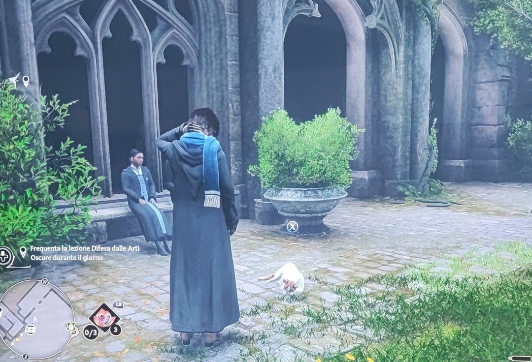 Marikalien's tweet photo. Sta cosa che in #hogwartslegacy è pieno di gatti ovunque, mi piace molto 😍 https://t.co/WpvnXGENh4