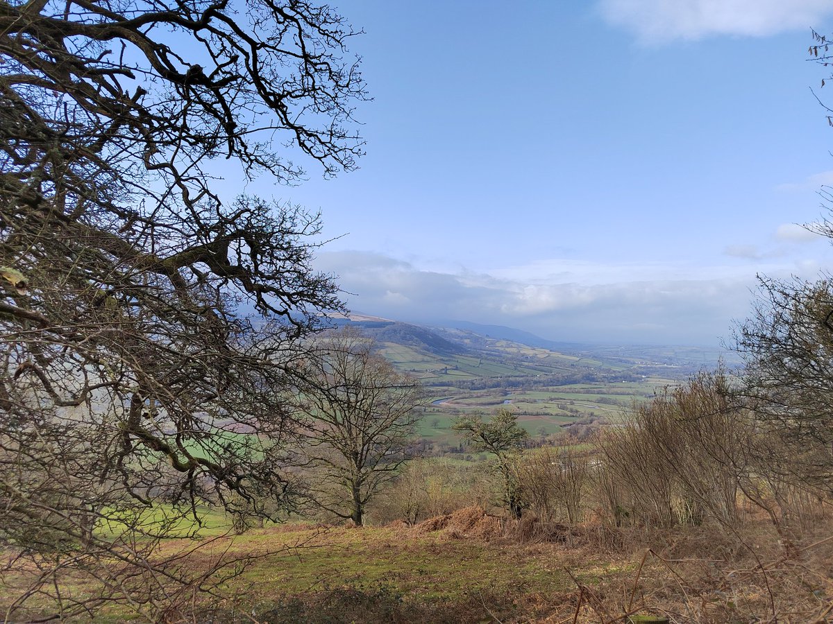 Martin Whittaker tweet media