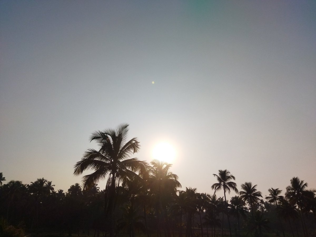 dire_vishwa's tweet image. #evening_vibe #pocom3 @POCOGlobal