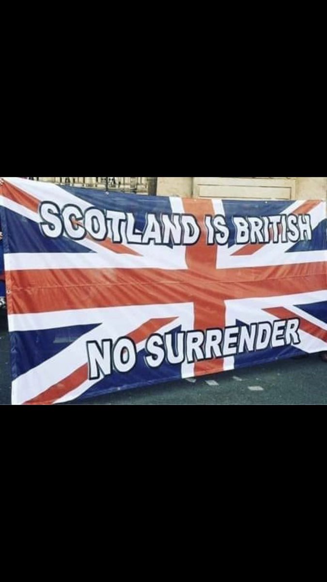 hazel_mcarthur's tweet image. Finally she realised….