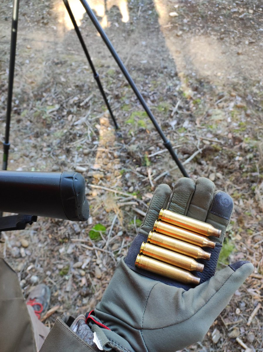 Buen día de montería excelente resultado y mejor compañía imposible en la próxima mejoramos el resultado hermano
