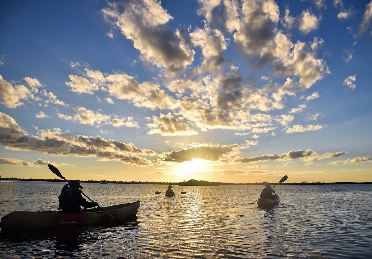 RisingTideFL's tweet photo. Florida sunsets are breathtaking. Experiencing sunsets from a kayak near the bird rookery islands..spectacular. #RisingTideFL #Naples_Outfitters #kayak #LoveFL #NaplesFL #jwmarcoisland #Floridasunset #birds #fun_florida_family_adventures #paradisecoast #WildlifeWednesday https://t.co/TQNcMlUubM