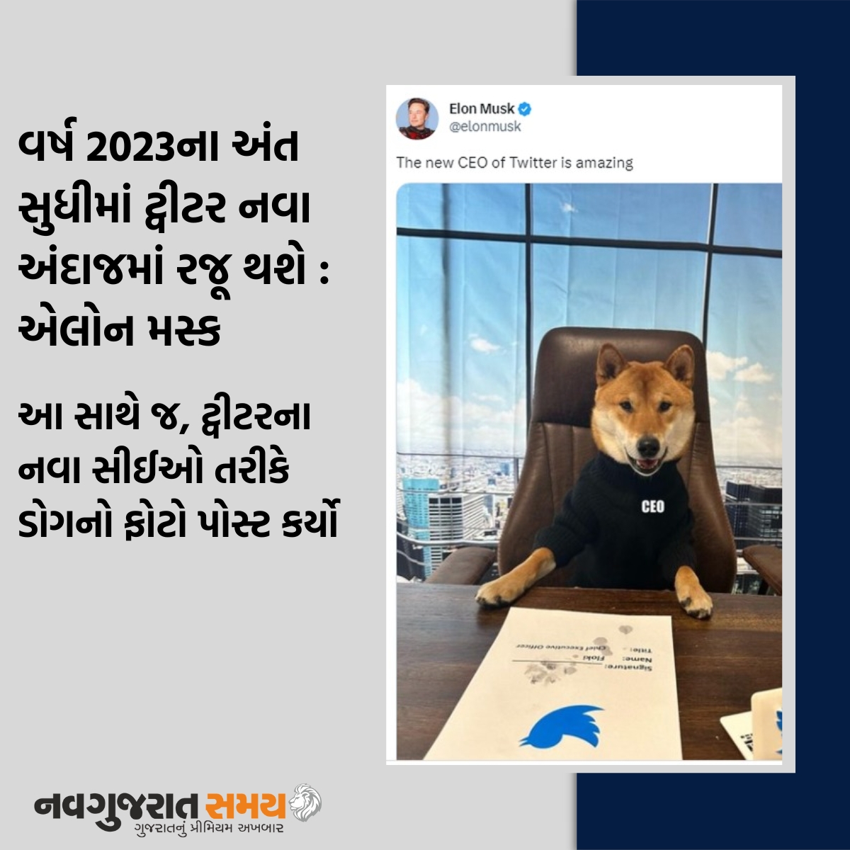 navgujaratsamay's tweet photo. વર્ષ 2023ના અંત સુધીમાં ટ્વીટર નવા અંદાજમાં રજૂ થશે : એલોન મસ્ક 

#Us #twitterceo #elonmusk #share #picture #dog #floki #newceo #takeover #tshirt #document #laptop #bosschair #netizen #spark #internet #socialmedia #amazing #navgujaratsamay https://t.co/s7dDp6WO0D