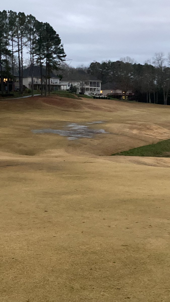 Tanasi Golf tweet media