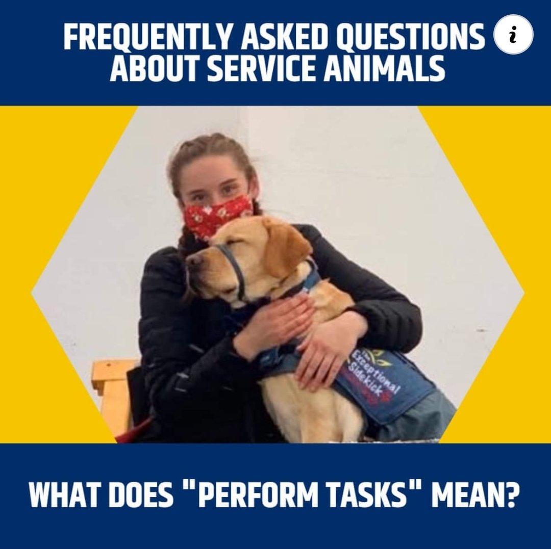 ExceptionalSDs's tweet photo. Tasks may include reminding to take medication, interrupting a panic attack, waking someone from a nightmare, interrupting self harming behavior, &amp; more. This valuable &amp; sometimes life-saving support, help their handlers live more independent lives.
#ServiceDogsKnowHowToHeal https://t.co/NeN1nok1qV