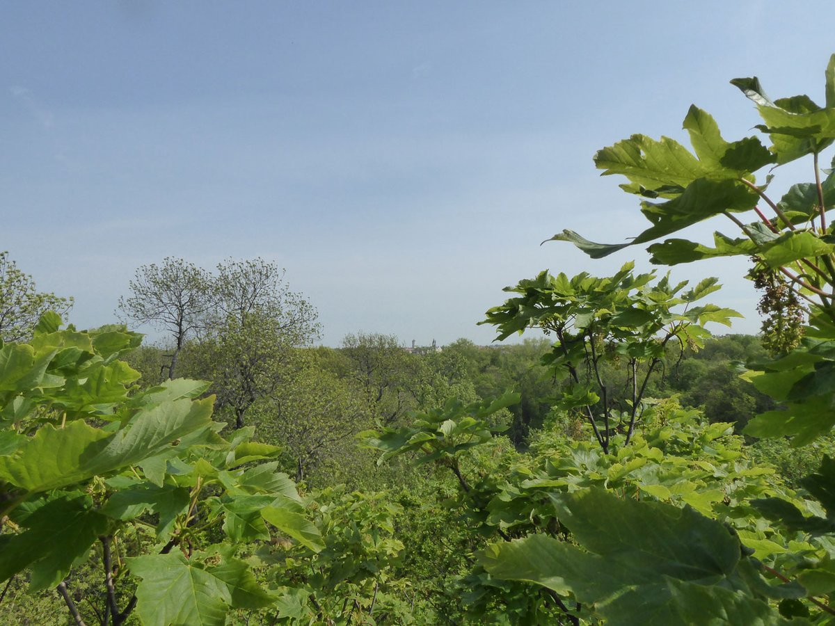 Kuesel Lab (@kuesel_lab) on Twitter photo Interested in #microbiology and #trees as microbial habitats? This position <a href="/idiv/">iDiv Biodiversity Research</a> and <a href="/UniJena/">Universität Jena</a> might be of interest:
jobs.uni-jena.de/jobposting/c35…
Join us for the exploration of phyllosphere microbial diversity in tree canopies! Applications can be submitted until February 28th! Interested in #microbiology and #trees as microbial habitats? This position <a href="/idiv/">iDiv Biodiversity Research</a> and <a href="/UniJena/">Universität Jena</a> might be of interest:
jobs.uni-jena.de/jobposting/c35…
Join us for the exploration of phyllosphere microbial diversity in tree canopies! Applications can be submitted until February 28th!