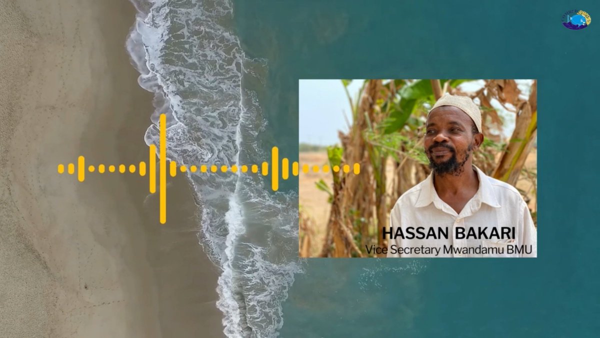 The vice secretary of Mwandamu Beach Management Unit comprehensively shares his lessons learned from the #fisheries #data verification and validation exercise conducted by <a href="/comred_/">COMRED</a>   in collaboration with <a href="/BlueVentures/">Blue Ventures</a> 

youtu.be/RItt0g1Yfg0